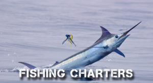 FISHING CHARTERS JACO COSTA RICA, COSTA RICA JACO FISHING CHARTERS